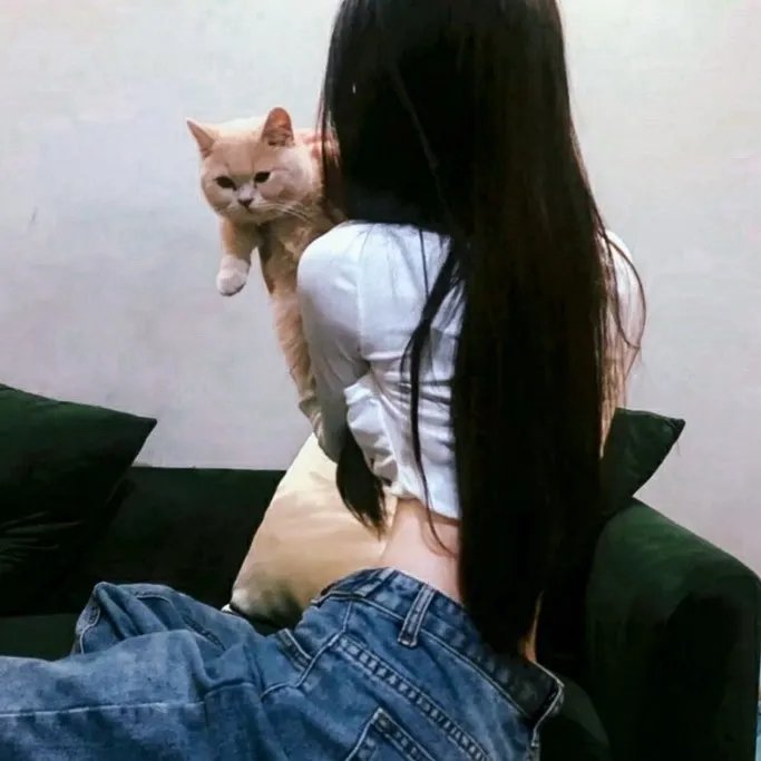 史第科